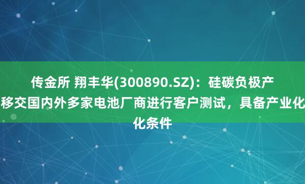传金所 翔丰华(300890.SZ)：硅碳负极产品已移交国内外多家电池厂商进行客户测试，具备产业化条件