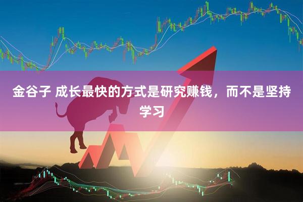 金谷子 成长最快的方式是研究赚钱，而不是坚持学习