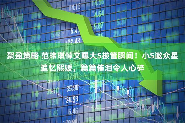 聚盈策略 范玮琪悼文曝大S拔管瞬间！小S邀众星追忆熙媛，篇篇催泪令人心碎