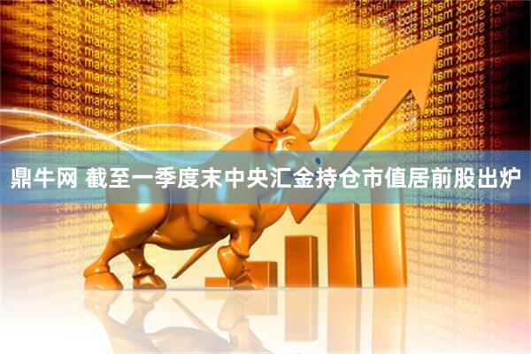 鼎牛网 截至一季度末中央汇金持仓市值居前股出炉