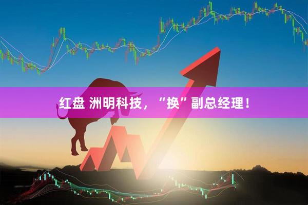 红盘 洲明科技，“换”副总经理！
