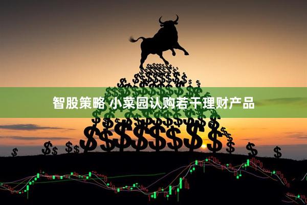 智股策略 小菜园认购若干理财产品