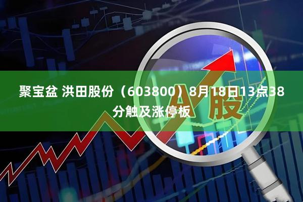 聚宝盆 洪田股份（603800）8月18日13点38分触及涨停板