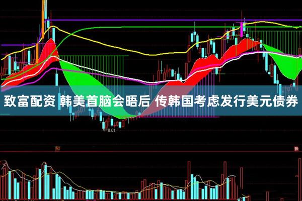 致富配资 韩美首脑会晤后 传韩国考虑发行美元债券