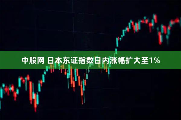 中股网 日本东证指数日内涨幅扩大至1%