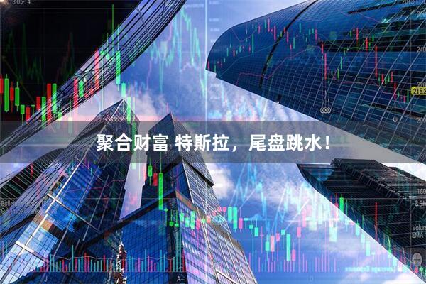 聚合财富 特斯拉，尾盘跳水！