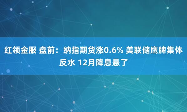 红领金服 盘前:纳指期货涨0.6% 美联储鹰牌集体反水 12月降息悬了