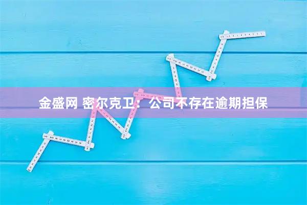 金盛网 密尔克卫：公司不存在逾期担保
