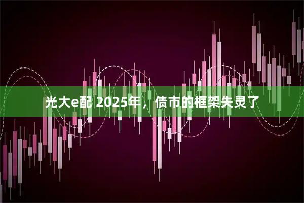 光大e配 2025年,债市的框架失灵了
